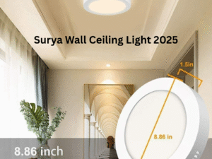 Surya Wall Ceiling Light