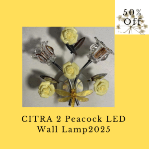 Wall Hanging Light